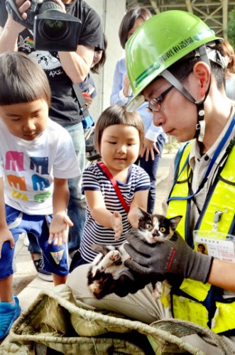 ��ҽ���ȳ���