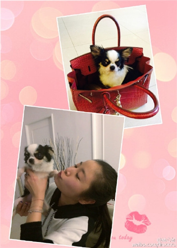 ������΢����ͼ