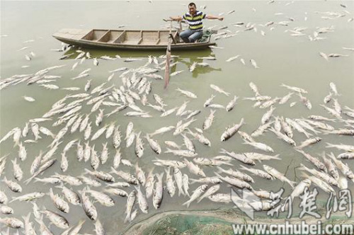 ͼΪ�������ƬƯ����ˮ���� ���춼�б���������ʤ��