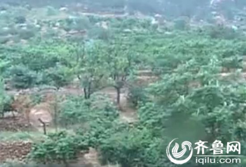 ������ʧ�ĵ�8�죬ʬ����һ��ɽ���ﱻ�����֡�����Ƶ��ͼ��