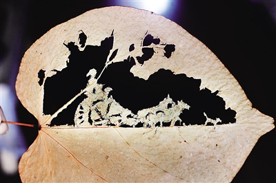 ����������Ʒ���ؼҡ�