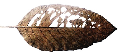  ��������Ʒ����ͷ��