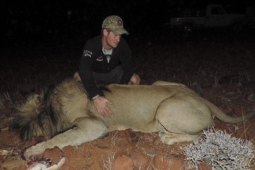 �������Ӽ��ʨ�ӵ�����״����