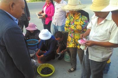 �ֳ��չ������߲�ժ���ĺ����