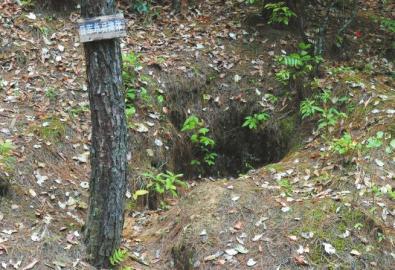 2015��5��20�գ���ɽս�۾�ַ�������վ��ĵ������壬���渲������ľ�͸ְ壬�����ѹ���