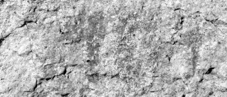 考古发掘的大兴安岭岩画,白桦岗兽披毛犀 考古发掘的大兴安岭岩画,白桦岗兽披毛犀