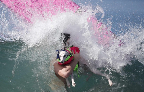 比赛竞争激烈。 比赛竞争激烈。