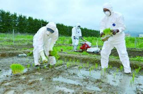 ����ͼ��������������Ƶ�֡�