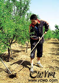 ����ͼ���«^�����Ͷ���ͼƬ��Դ����������