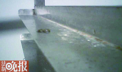 ��㳵��ʳ������ϵ�����ʺ