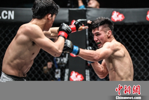 ��ɭvs�����ڲ��ո��