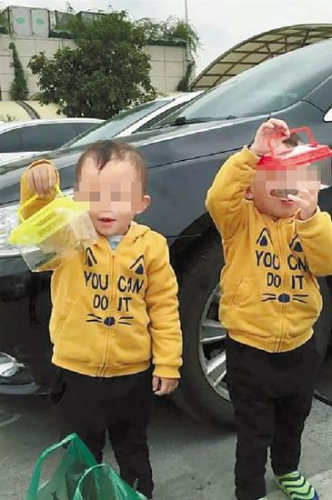 时光倒退一个多月,大大小小兄弟和小乌龟一起玩。家长提供。 时光倒退一个多月,大大小小兄弟和小乌龟一起玩。家长提供。