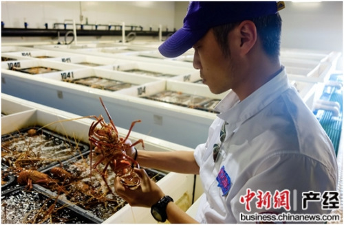 ͼ��ŷ��Ա���ڰ��޿��������Ϻ