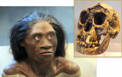 印尼发现6万年前小人族化石 霍比特人真的存在?
