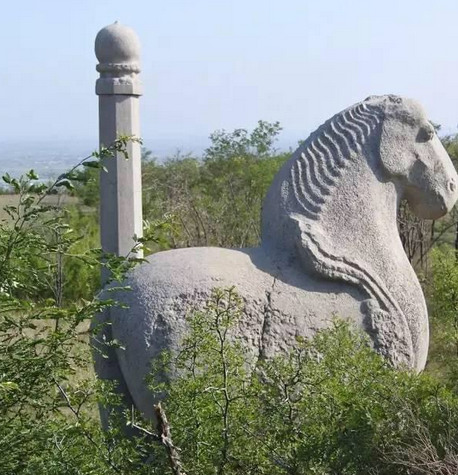 �����г�����ϴ���ʯ����Ƭ