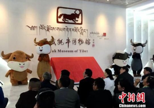 5��17�գ�������ţ����ݼ�����¸¡��״����ࡣ������ ��