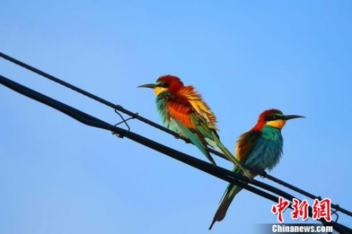 ͼΪƺ仢½ͺľʲ塣Ǻ 