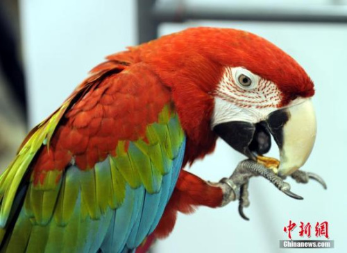 ����ͼ������