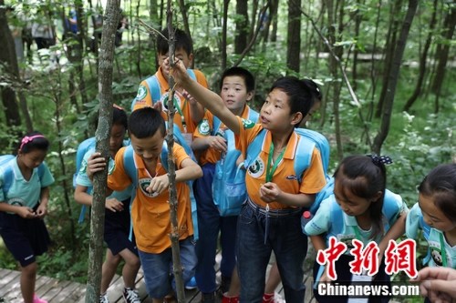 ���Ӳμӻ���