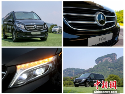 ÷����˹-����V�������ϸ��