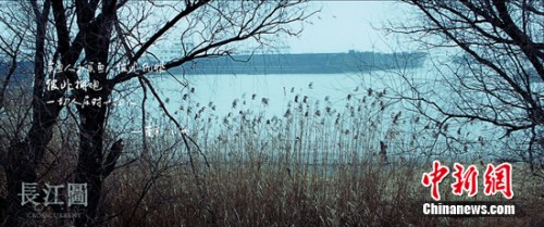 片方供图 片方供图