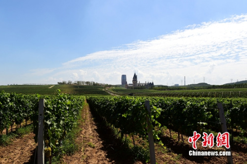 ��ԣ�������ѾƳ��ڵ�����԰��