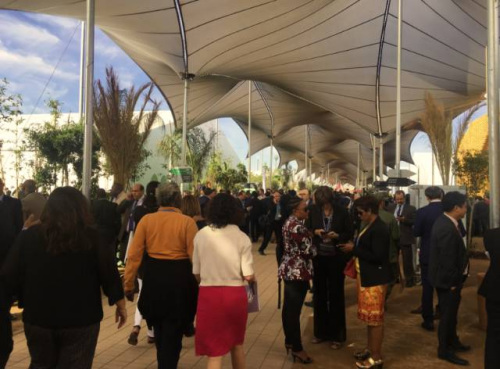 ֳ<a target='_blank' href='http://www.chinanews.com/'></a> 㡣