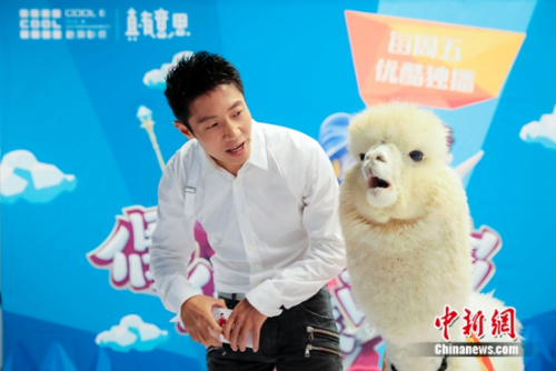 撒贝宁采访羊驼 撒贝宁采访羊驼