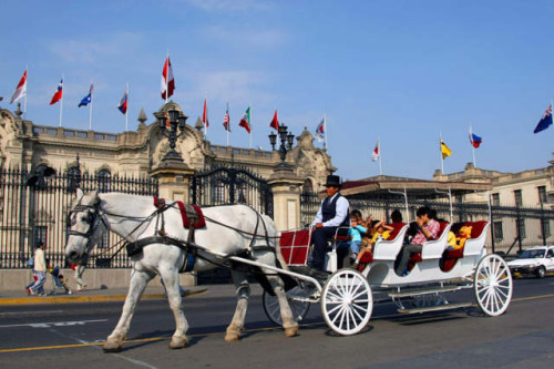 ����2008��11��15�����˳�������������³�׶������ϳ���ͳ�����»������ ���� ��