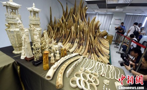 ����ͼ����ۼ������ٵ�������������Ʒ��<a target='_blank' href='http://www.chinanews.com/'>������</a>�� ���� ��