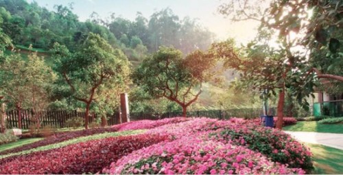 ����ɽ��ʵ��ͼ