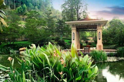 �ž��ָ���ɽ��