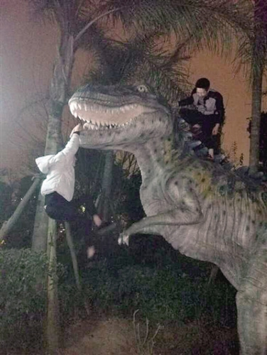 攀爬行为时有发生
