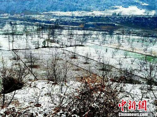 图为甘肃陇南市宕昌县城郊披上“银装”的农田。