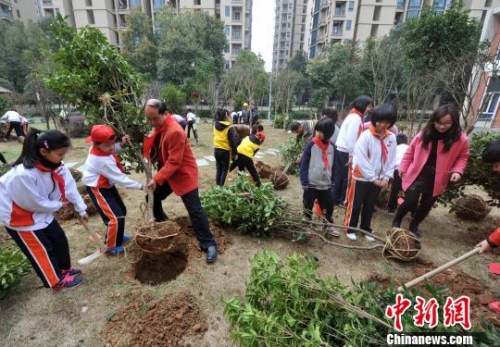 福州仓山区第五中心小学的师生和志愿者在校园开展植树活动。　张斌 摄