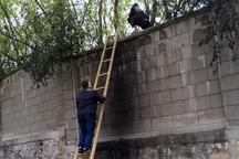 蓬莱多名出租车司机个人经营证被悄然上交