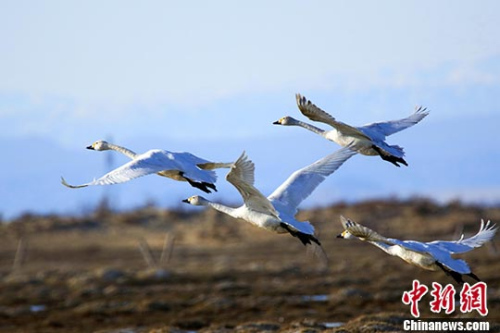 <a target='_blank' href='http://www.chinanews.com/'>������</a>���� ���Ǻ� ��