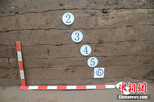 南城墙南侧剖面夯层。主办方供图 南城墙南侧剖面夯层。主办方供图