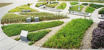台北的“景勤1号公园”，外观类似一片树叶。(资料图片)