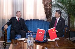 习近平会见土耳其总统埃尔多安