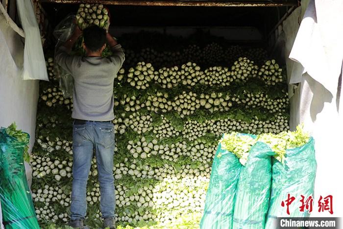 西安蔬菜市场供应充足平稳