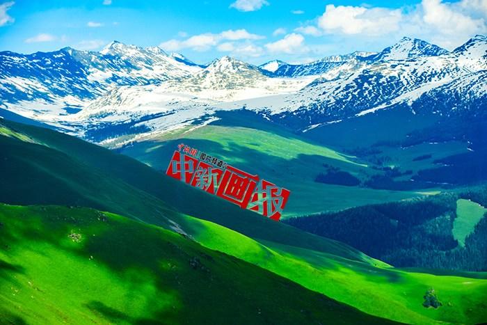 将夏天的“绿” 装进屏幕里，一组护眼壁纸请查收！