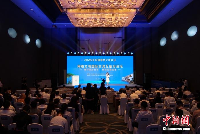 2025年中国网络文明大会网络文明国际交流互鉴分论坛在合肥举行