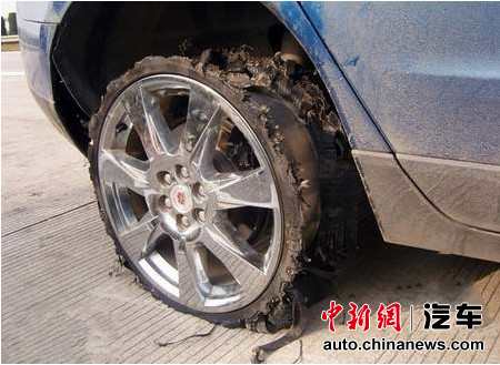 ����������̥Ƶ�������������������ֳ�����