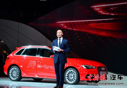 �µϱ�ʯ:�������й��߶˳��г��ֽ����ֹ�̬��