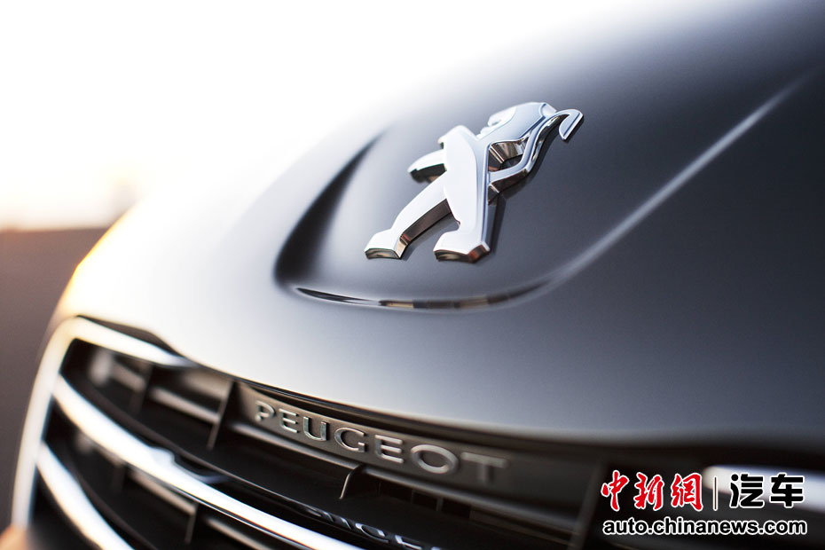 �������508��ۺ�ϸ������