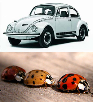 来源于动物的设计灵感 十大著名"仿生"车型