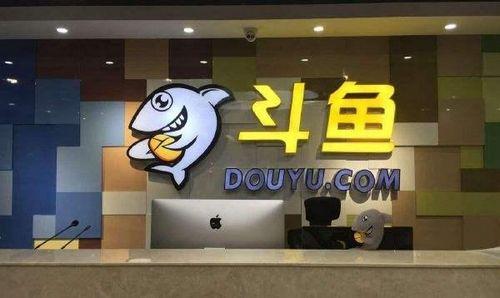 武汉打造互联网第四极助力DSL斗鱼超级联赛举办