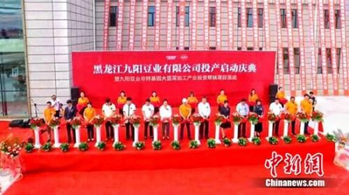 �����׸���ҵ�����Ŀ�ں������������