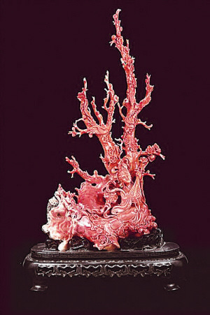 顶级红珊瑚价格飙涨 最昂贵的卖1.8万元/克